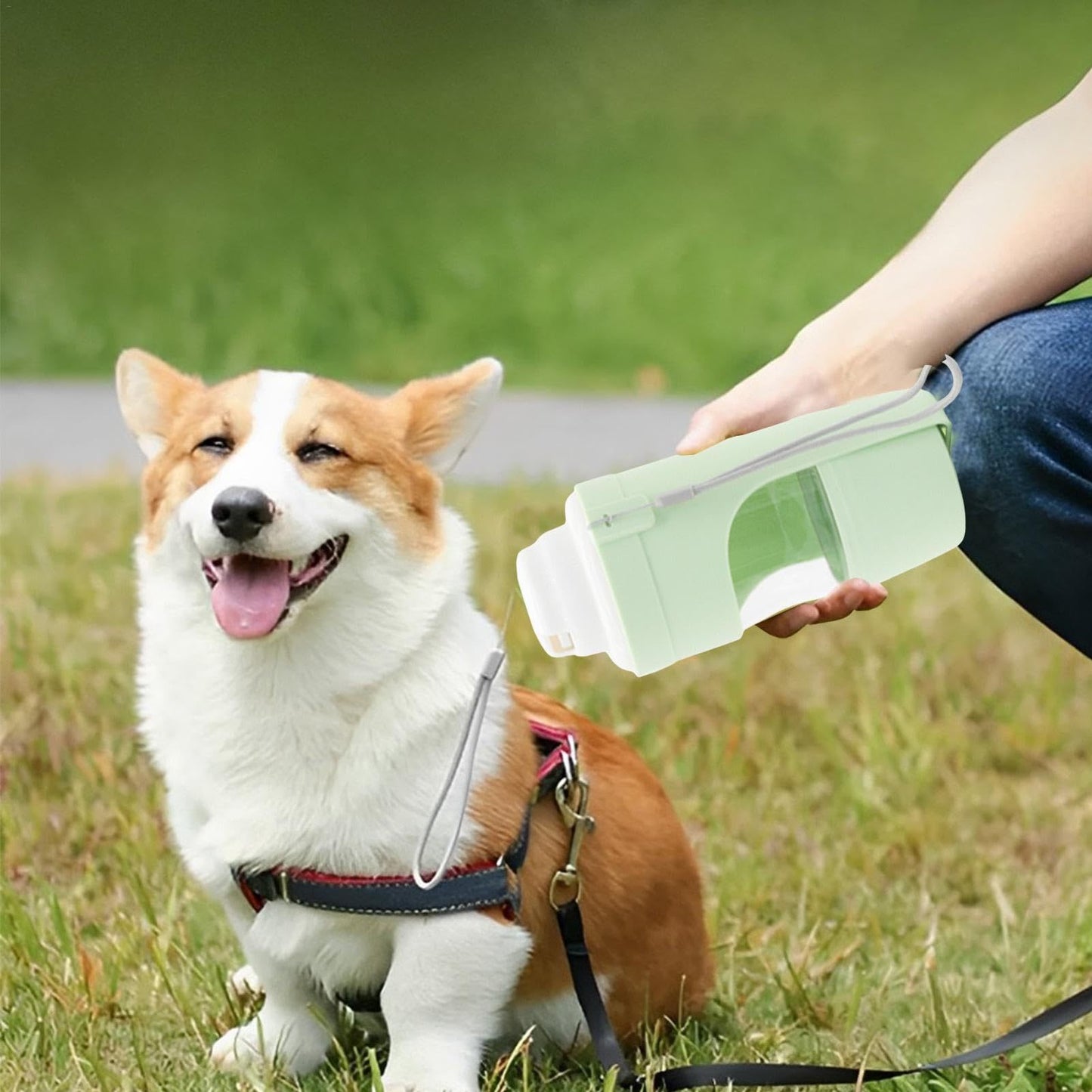 2-in-1 Travel Dog Water Bottle – Pet Water & Food Dispenser, Portable Outdoor Feeder